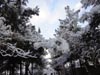 Wallpaper - Quetta Snowfall January 2012 (13) - 4608 x 3456